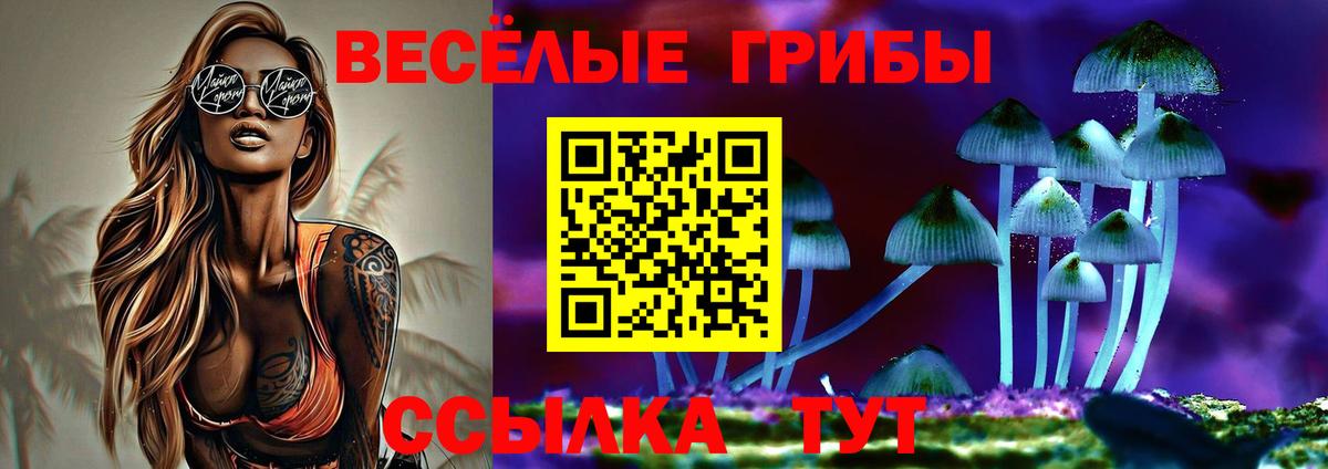 Псилоцибиновые грибы мухоморы Избербаш