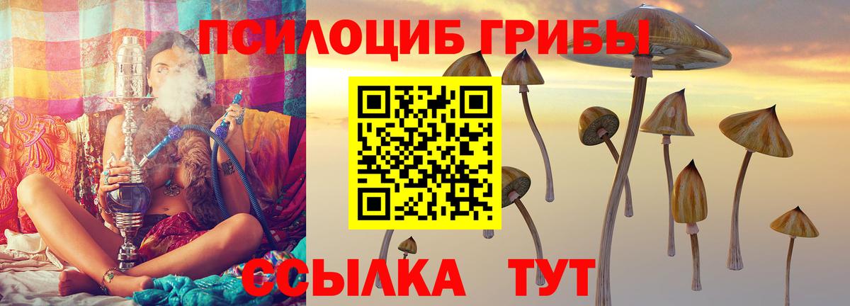 Галлюциногенные грибы MAGIC MUSHROOMS  Псилоцибиновые грибы MAGIC MUSHROOMS  наркотики  Вход с VPN  Избербаш 